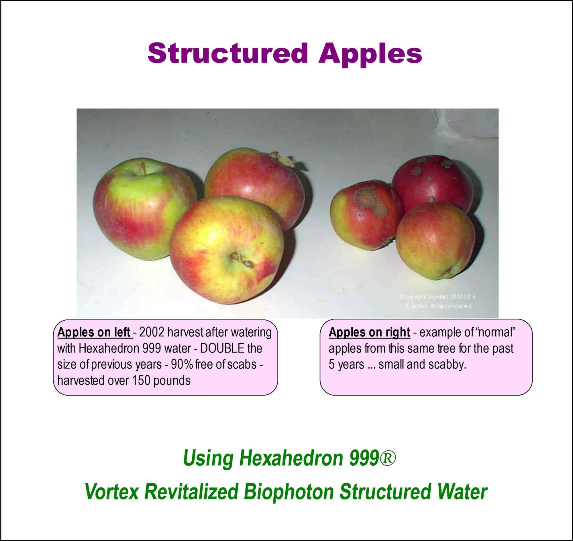Structured Apples using Hexahedron 999 Vortex Revitalized Structured Biophoton Water