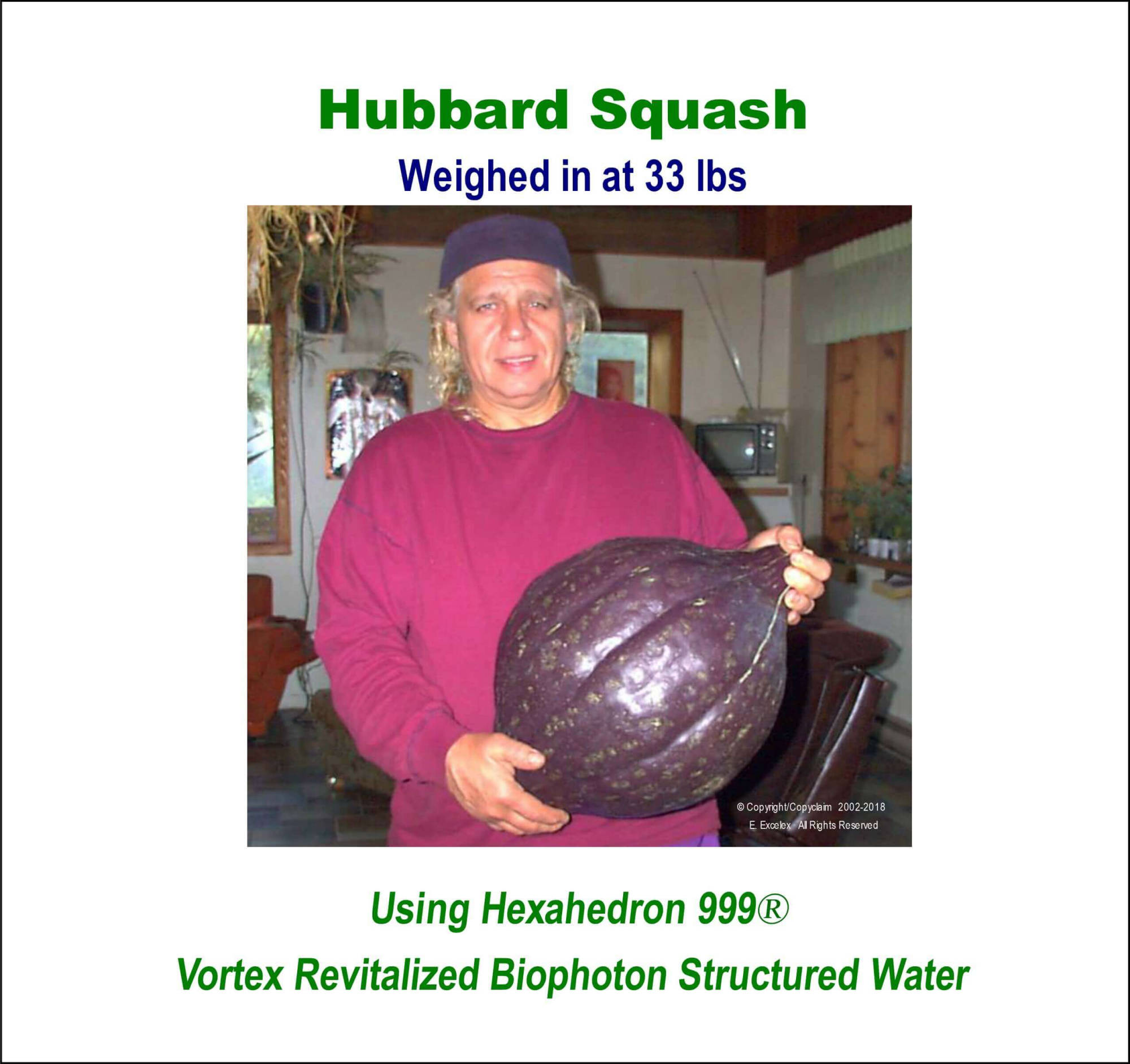 Hubbard Squash using Hexahedron 999 Vortex Revitalized Structured Biophoton Water