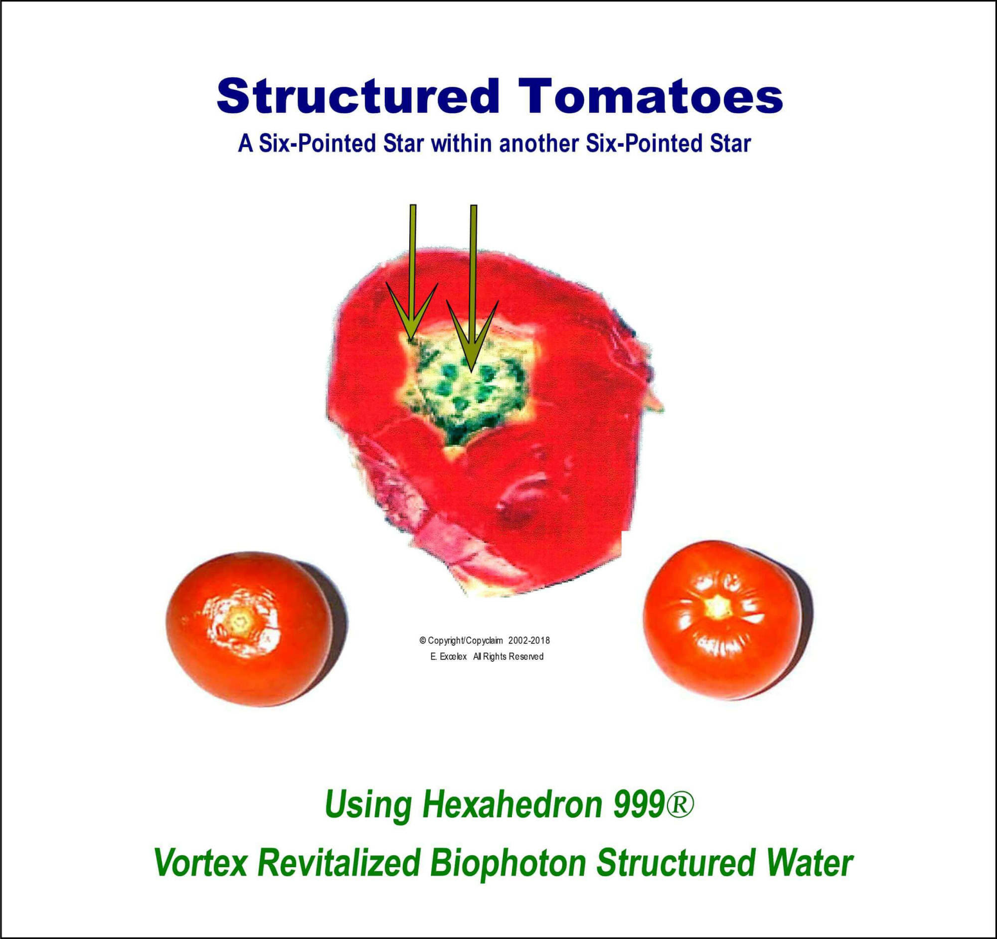 Structured Tomatoes using Hexahedron 999 Vortex Revitalized Structured Biophoton Water