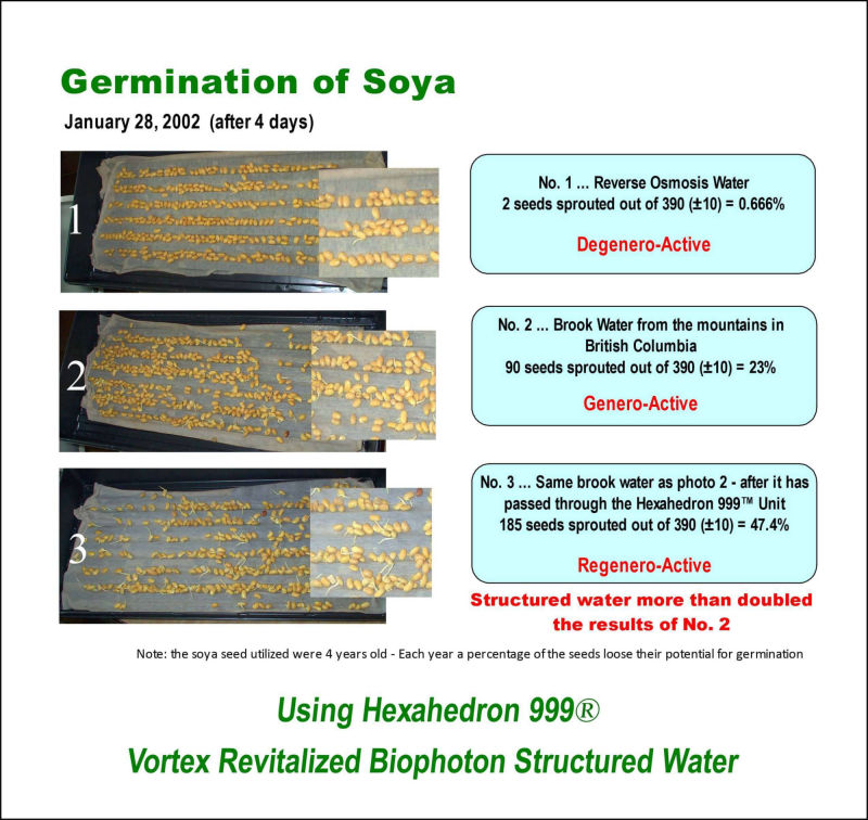 Germination of Soya using Hexahedron 999 Revitalized Biophoton Structured Water