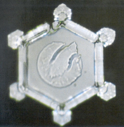 Masaru Emoto Messages from Water Volume1 Glacier Water page57
