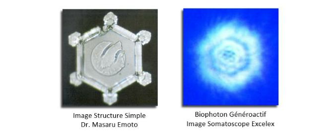Eau simple structurée - images Emoto et Excelex Somatoscope