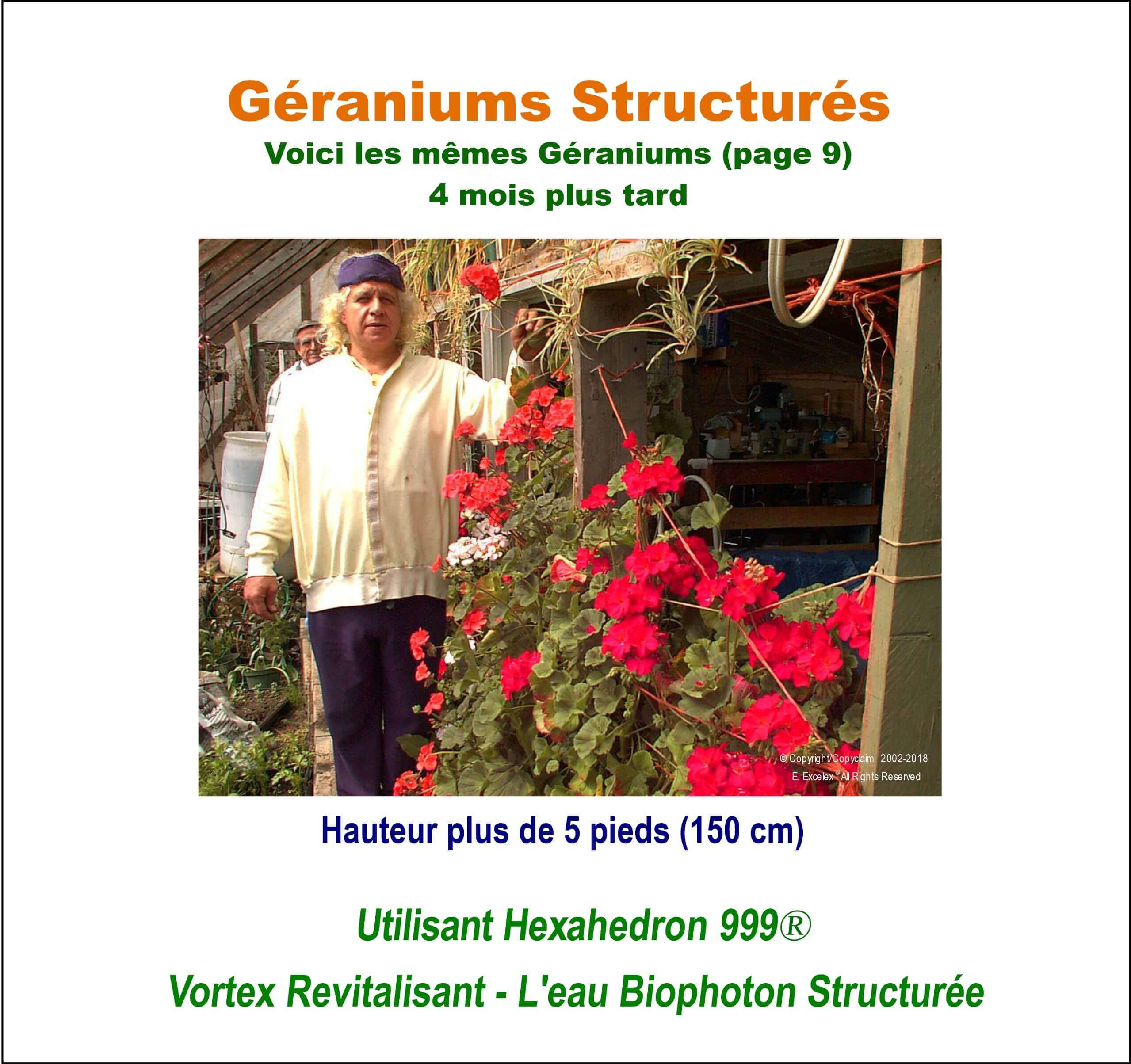 Géraniums structurés - Utilisant unité eau structurée Hexahedron 999