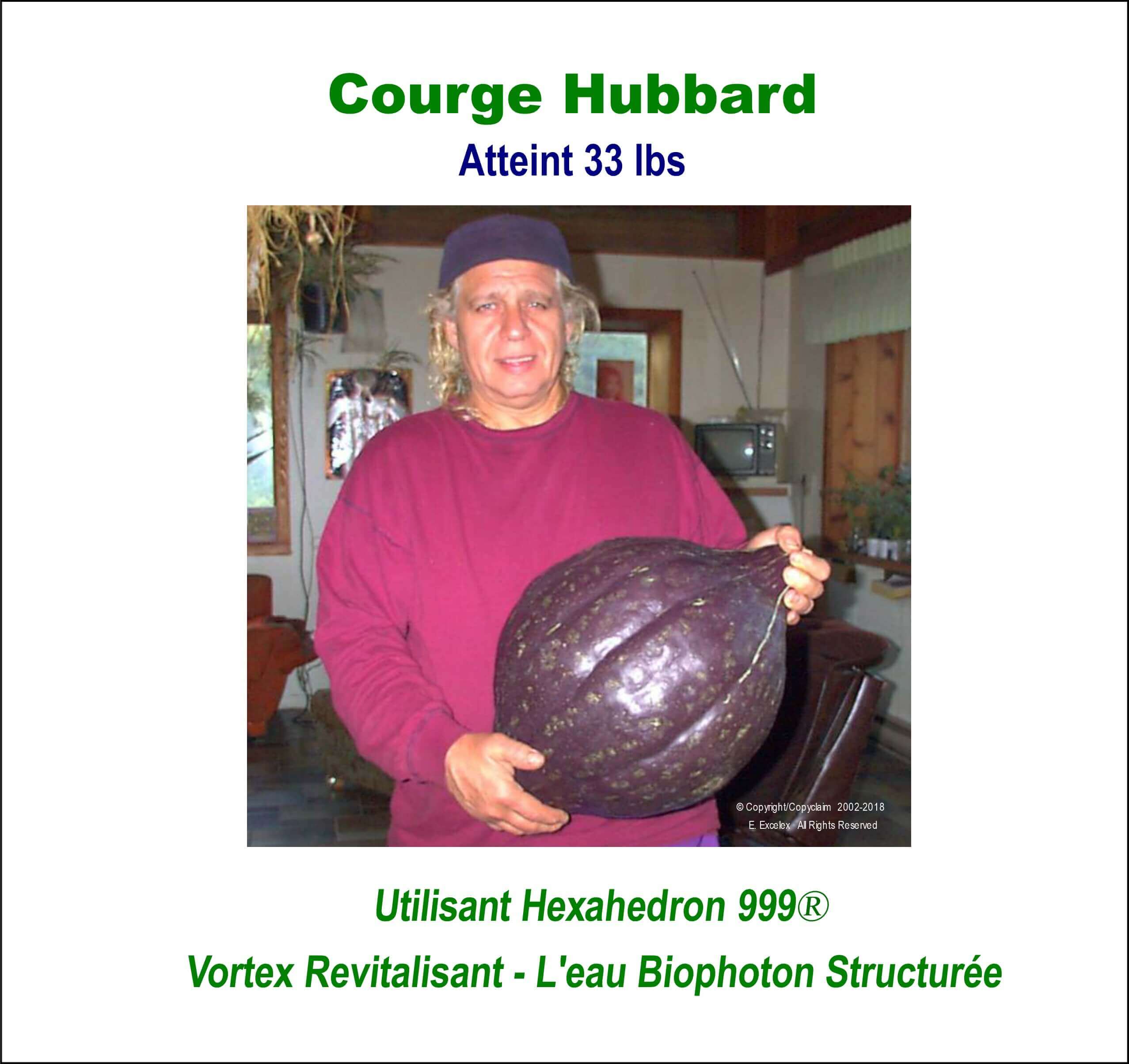 Courge Hubbard - Utilisant unité eau structurée Hexahedron 999
