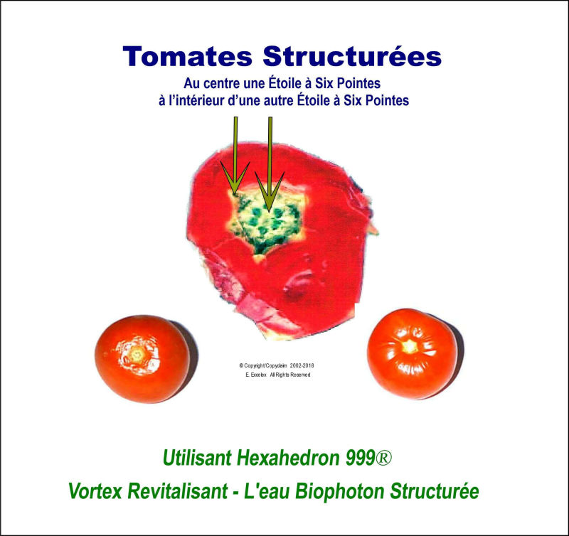 Tomates structurée - Utilisant unité eau vortex revitalisée Hexahedron 999