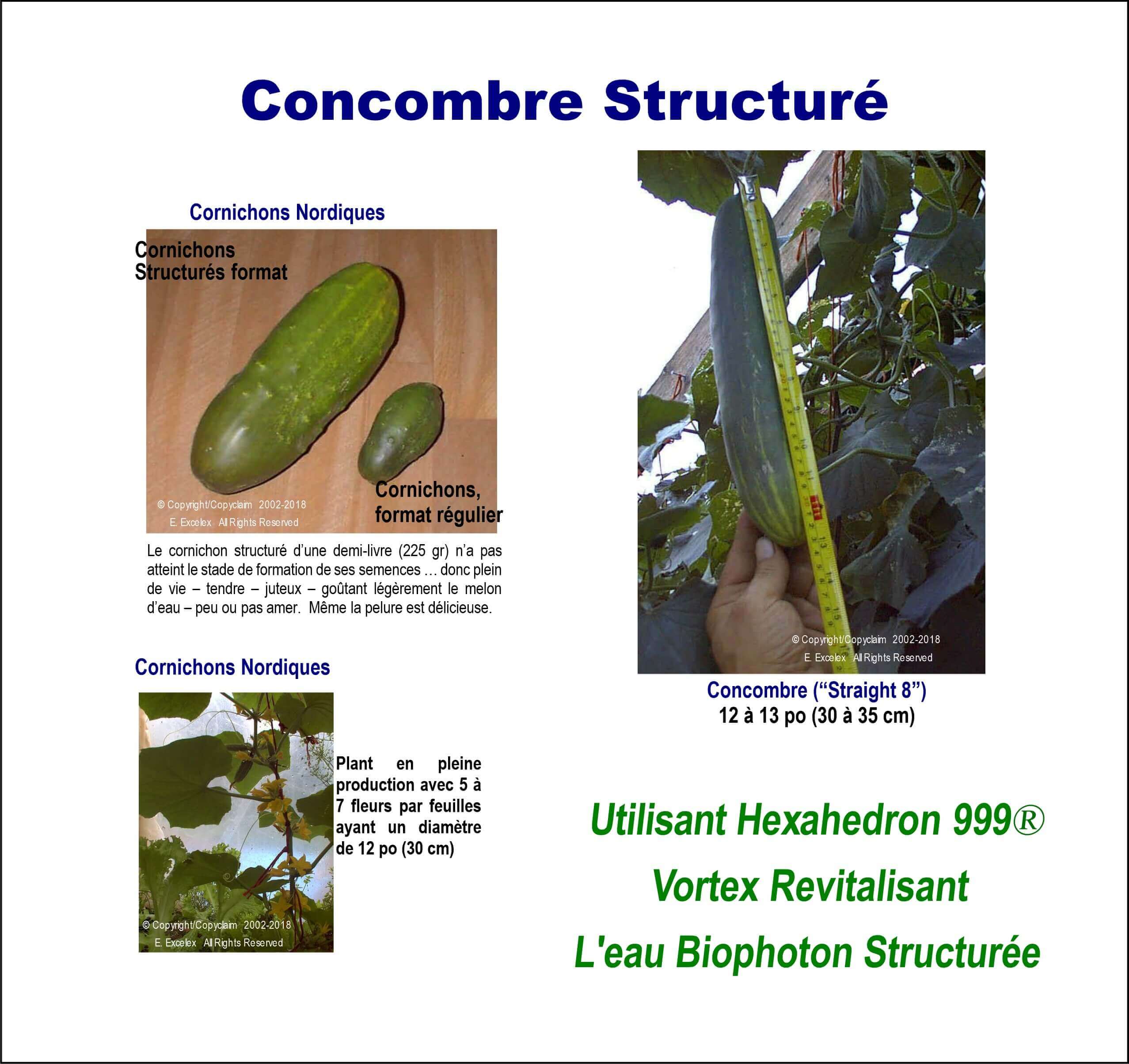 Concombre structurés - Utilisant unité eau structurée Hexahedron 999